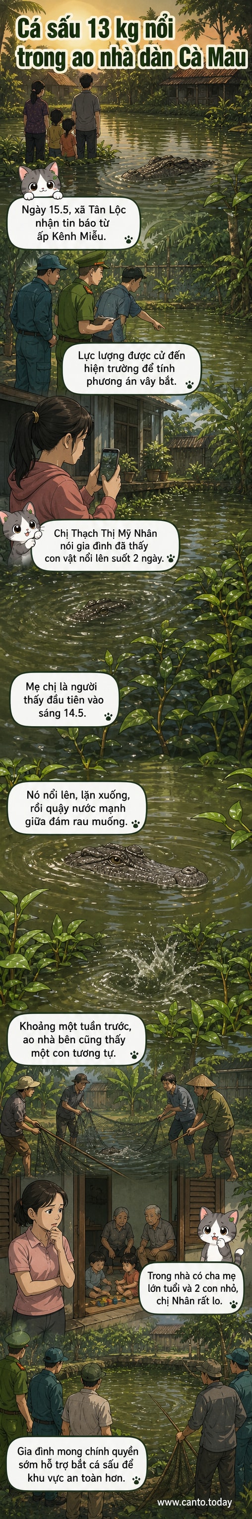 Hình ảnh minh họa một con cá sấu đang nổi trong ao nước sau nhà dân ở vùng ngập mặn Cà Mau.