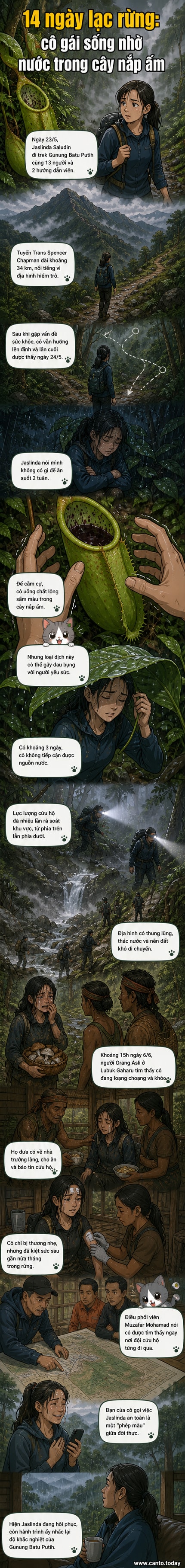 Minh họa cô gái lạc trong rừng, uống nước từ cây nắp ấm, được người bản địa tìm thấy trong tình trạng kiệt sức.