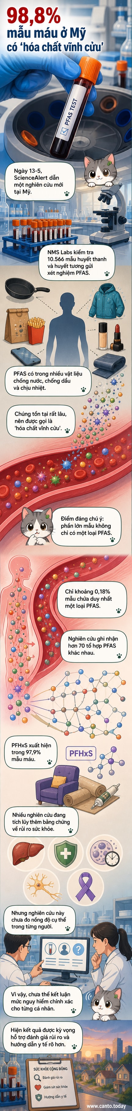 Minh họa hình giọt máu với các phân tử hóa chất PFAS bên trong, nền màu xanh xám biểu thị ô nhiễm