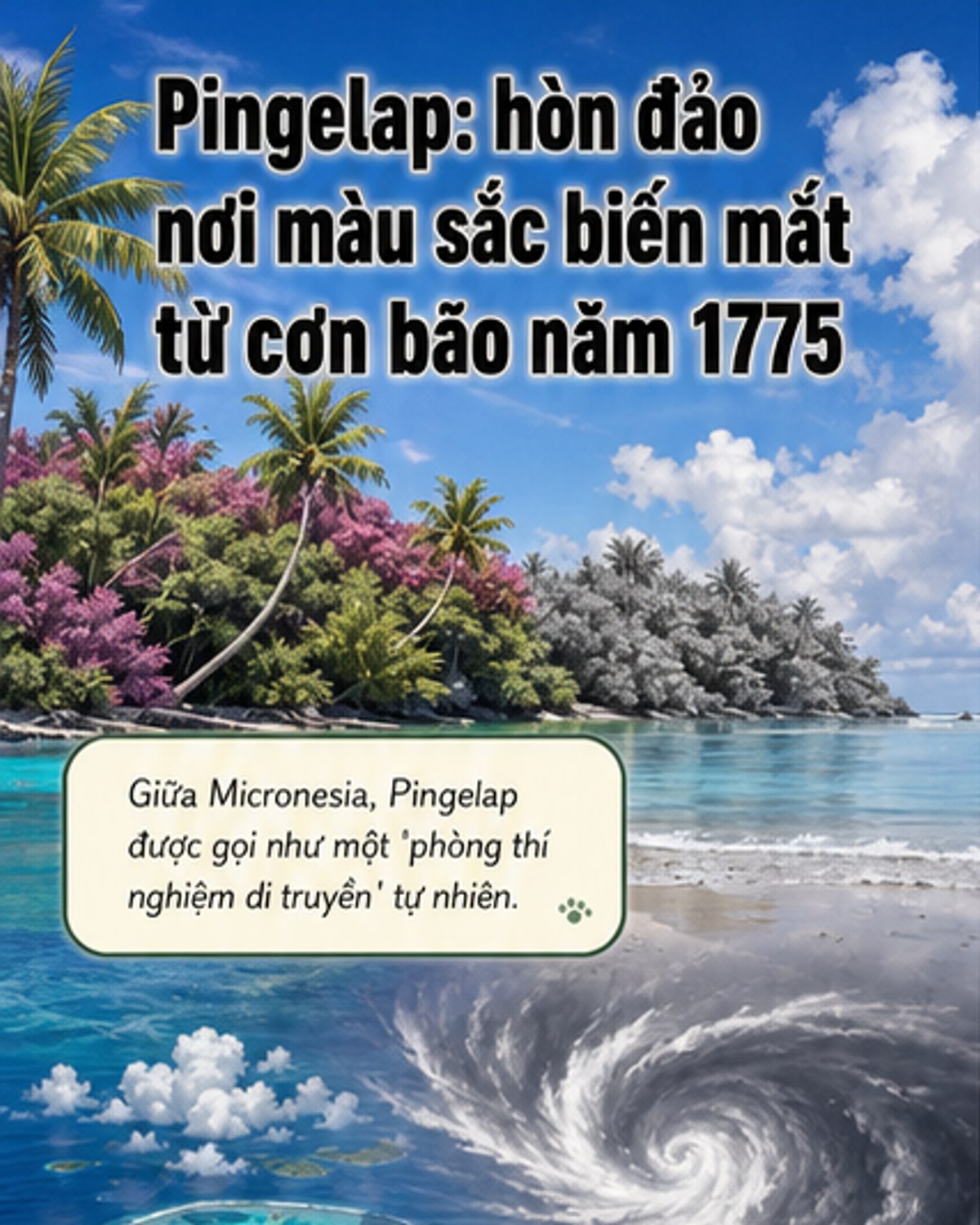 Hòn đảo cả làng mù màu từ thảm họa 1775