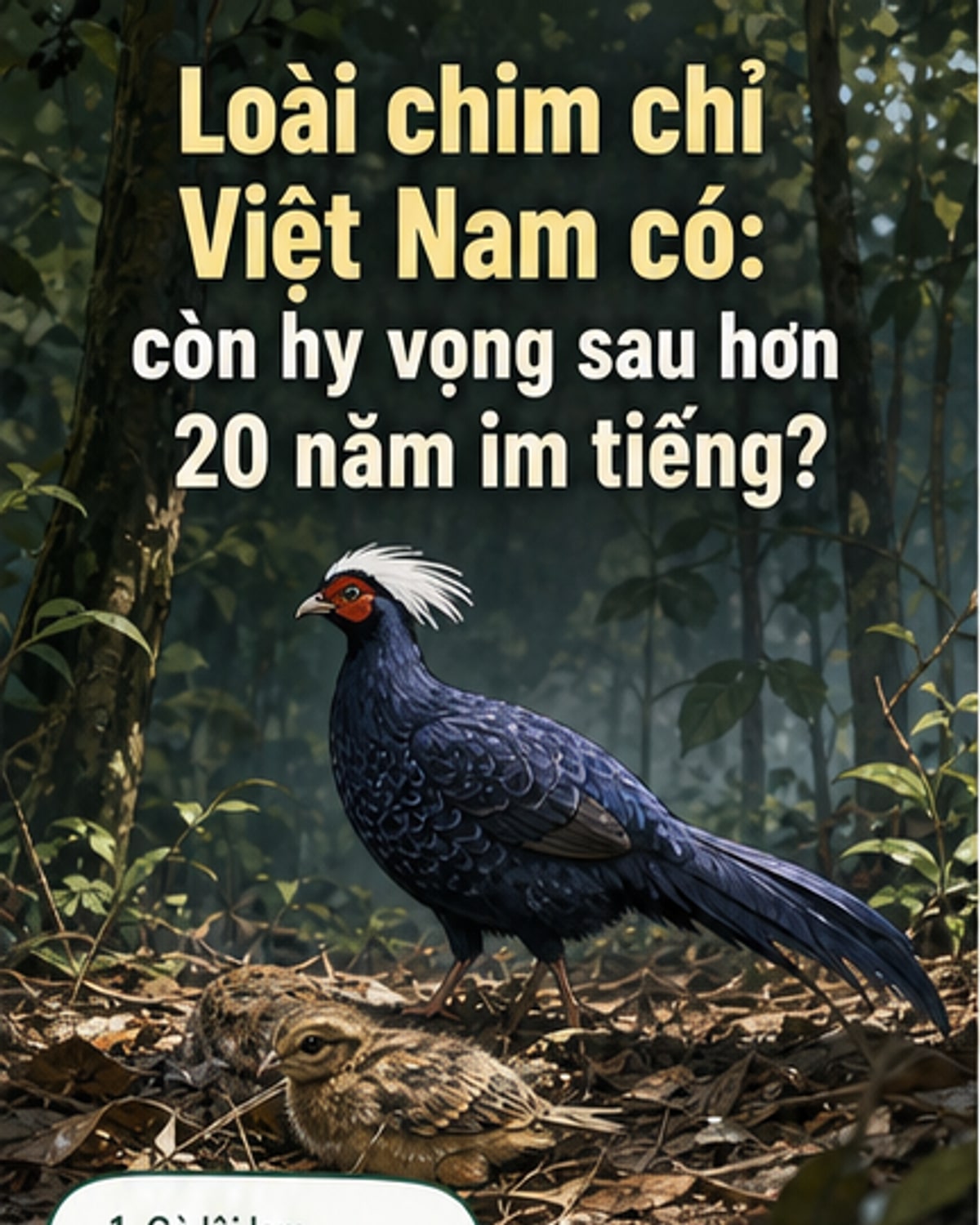 Chim đặc hữu Việt Nam hồi sinh sau 24 năm