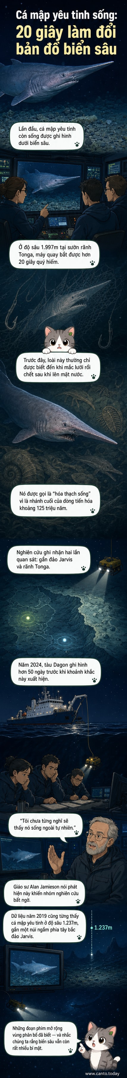Hình ảnh minh họa cá mập yêu tinh bơi dưới đáy đại dương sâu, với ánh sáng mờ ảo và môi trường tối tăm đặc trưng của vùng biển sâu.