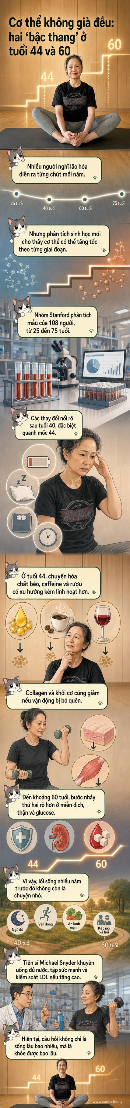Hai người đàn ông ở hai độ tuổi khác nhau: một người ở độ tuổi 40 với biểu hiện mệt mỏi và người kia ở tuổi 60 với hình ảnh minh họa sự suy giảm chức năng cơ thể, nền là biểu đồ tăng trưởng lão hóa với hai đỉnh ở 44 và 60.