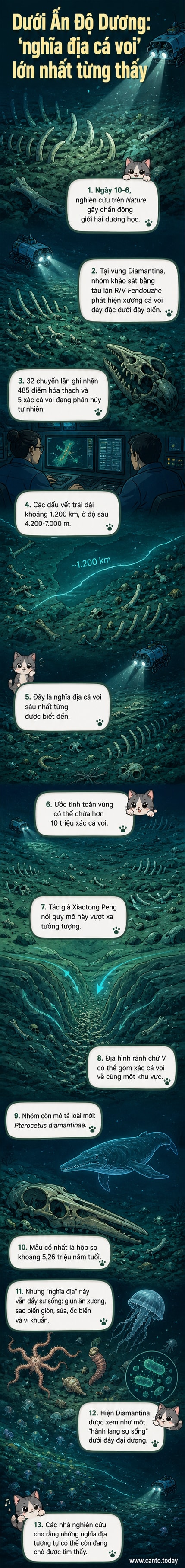 Hình ảnh minh họa đáy biển Ấn Độ Dương với hàng loạt xương cá voi nằm rải rác dưới lớp trầm tích, xung quanh là các sinh vật biển sâu đang sinh sống.