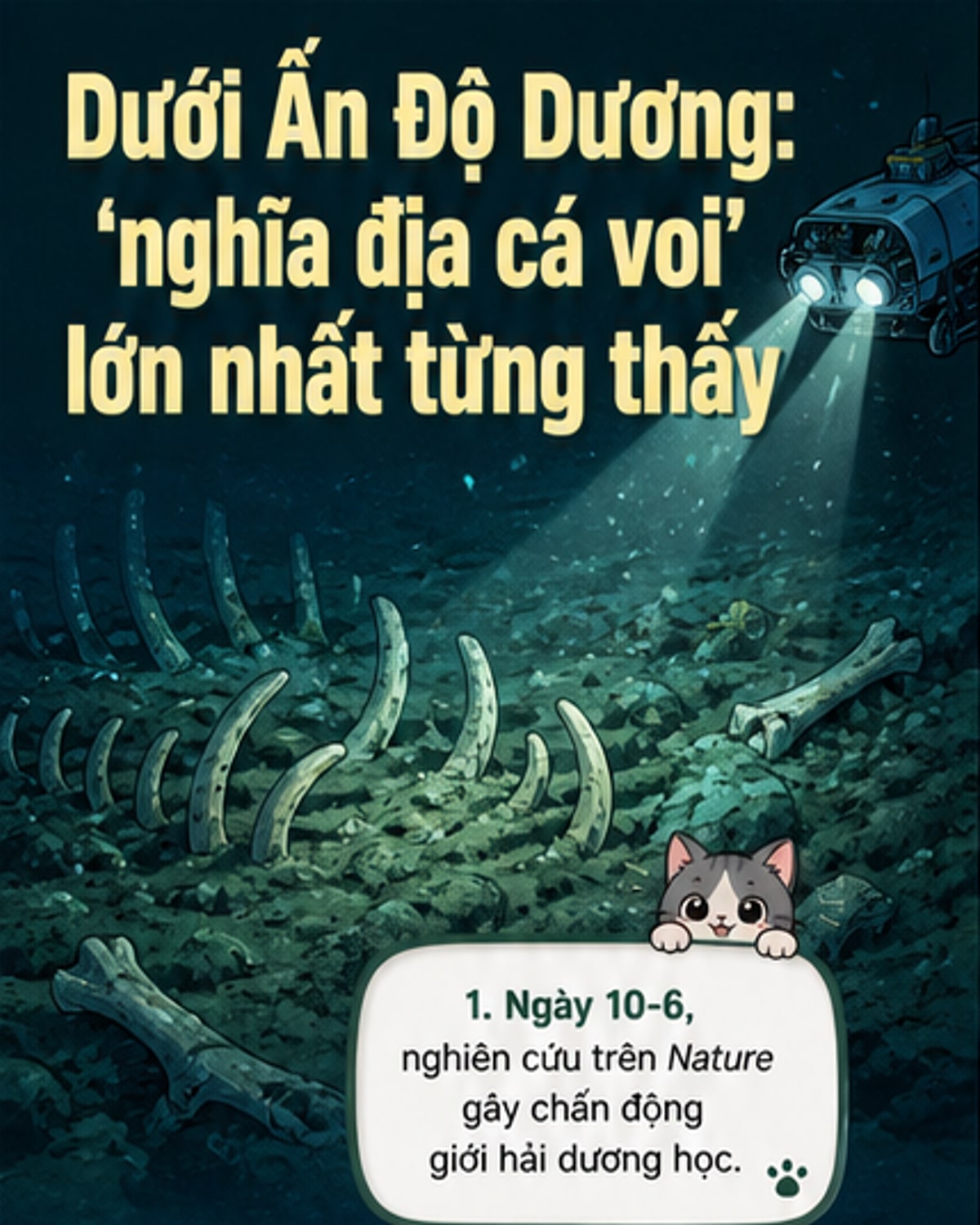 Phát hiện 'nghĩa địa cá voi' lớn nhất lịch sử
