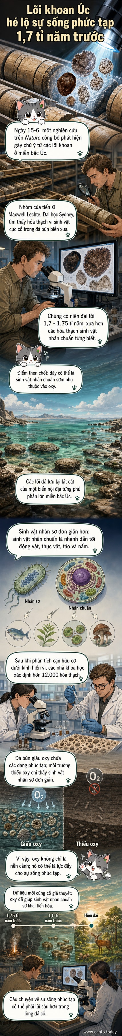 Hình ảnh kính hiển vi của hóa thạch vi sinh vật trong mẫu đá trầm tích màu nâu đỏ, với cấu trúc tế bào phức tạp được phóng đại