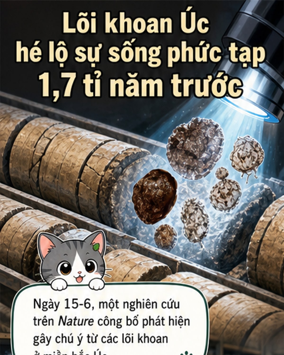 Sinh vật nhân chuẩn 1,7 tỉ năm tuổi lộ diện
