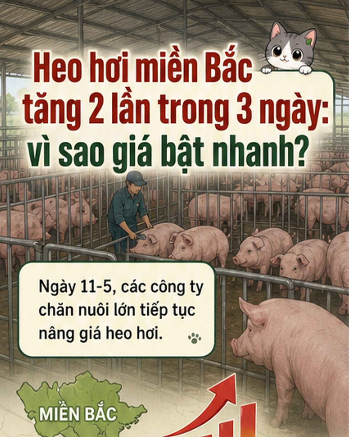 Giá heo hơi tăng mạnh sau 3 ngày