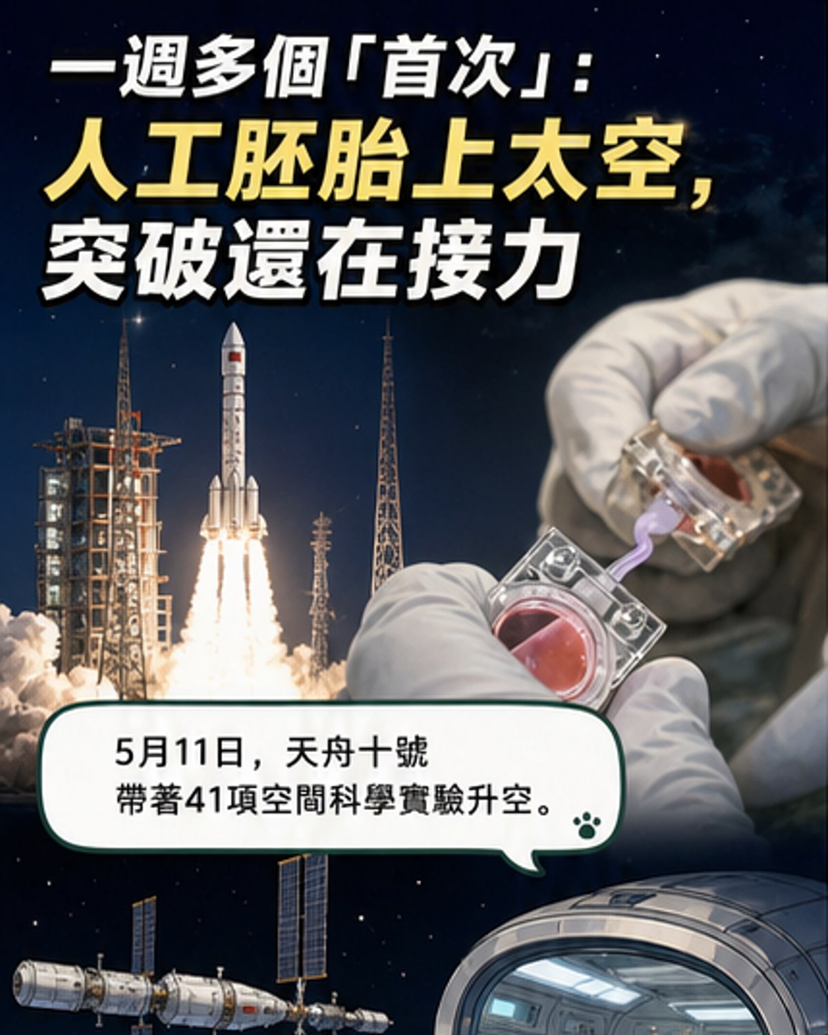 太空首見人工胚胎實驗