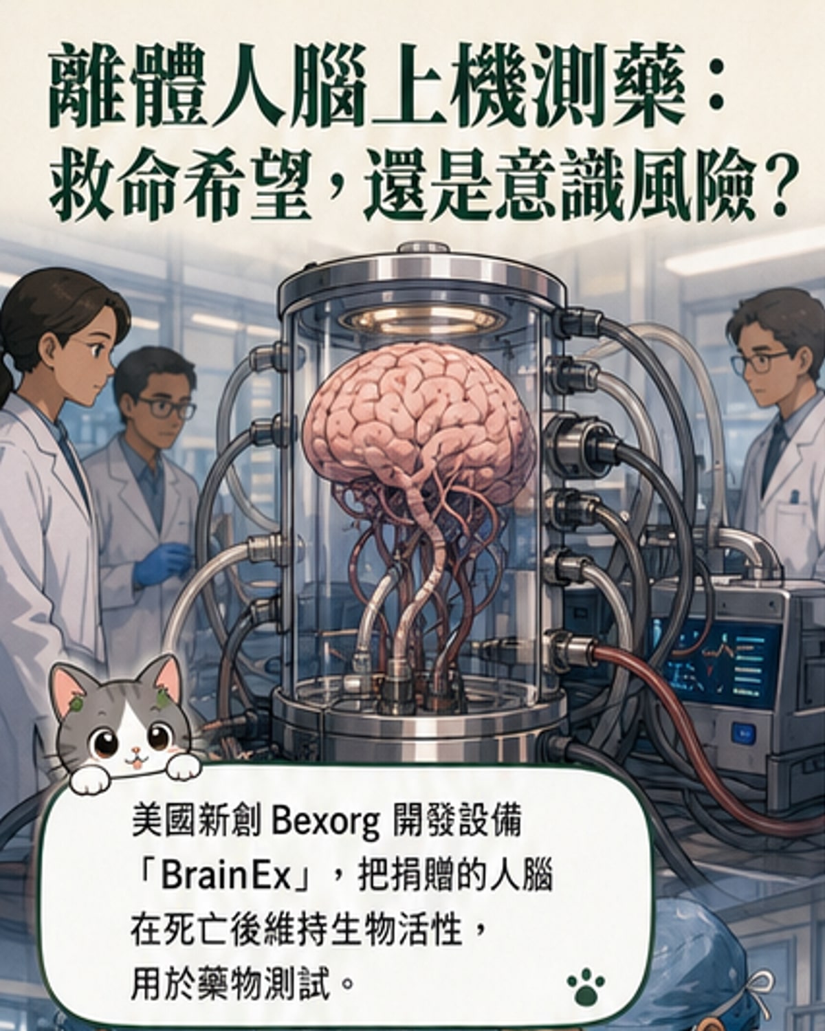 離體大腦測藥物？美公司維持捐贈大腦活性