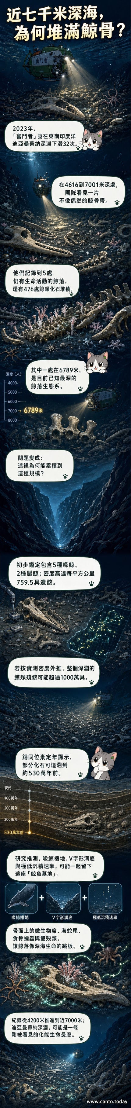 深海中鯨魚骨骼上覆蓋著微生物席與多樣生物,形成獨特的化能生態系統,背景為漆黑的深淵海床。