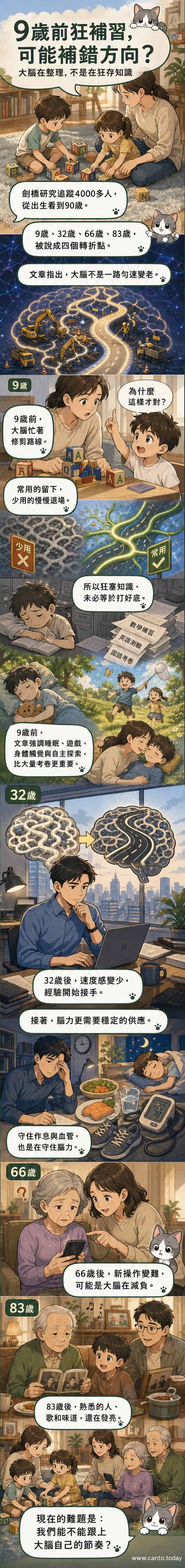 一張視覺化圖表展示人類大腦在9歲、32歲、66歲、83歲四個年齡節點的神經連接變化，呈現從密集到精簡、再至穩態的演進過程。