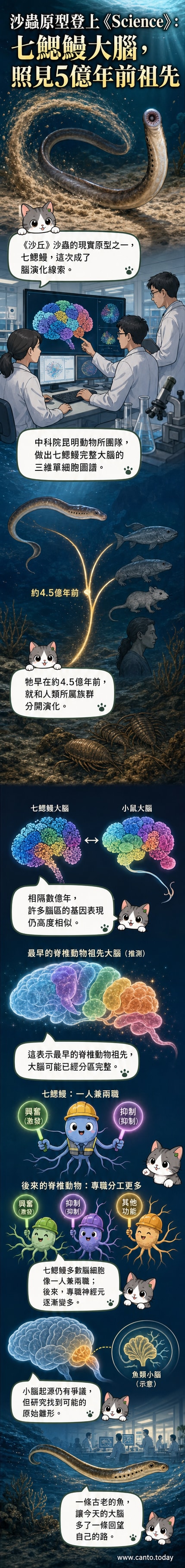 一隻七鰓鰻在海底游動，背景浮現其大腦的三維神經圖譜與遠古海洋環境示意，象徵5億年前脊椎動物祖先的腦部演化。