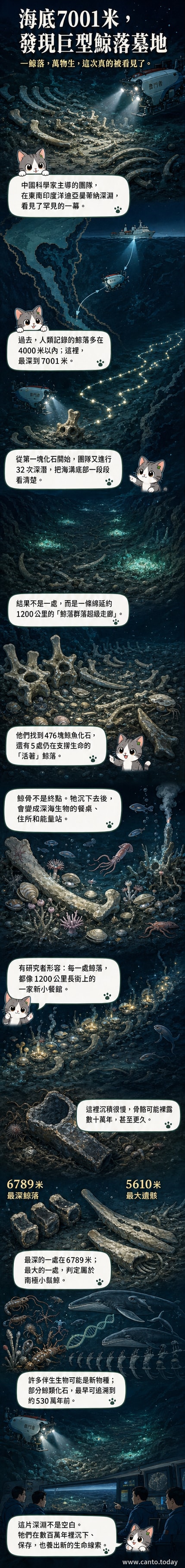 深海示意圖中，一具巨大的鯨魚屍體沉落海底，周圍環繞著多樣生物，標註「最深鯨落：7001公尺」與「新物種棲息地」