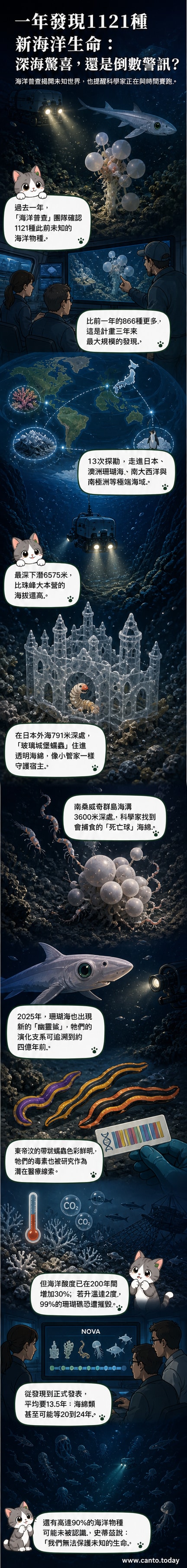 深海探測影像顯示一種名為「死亡球」的肉食性海綿,附著在海底岩石上,其鉤狀結構清晰可見,周圍為黑暗的深海環境。