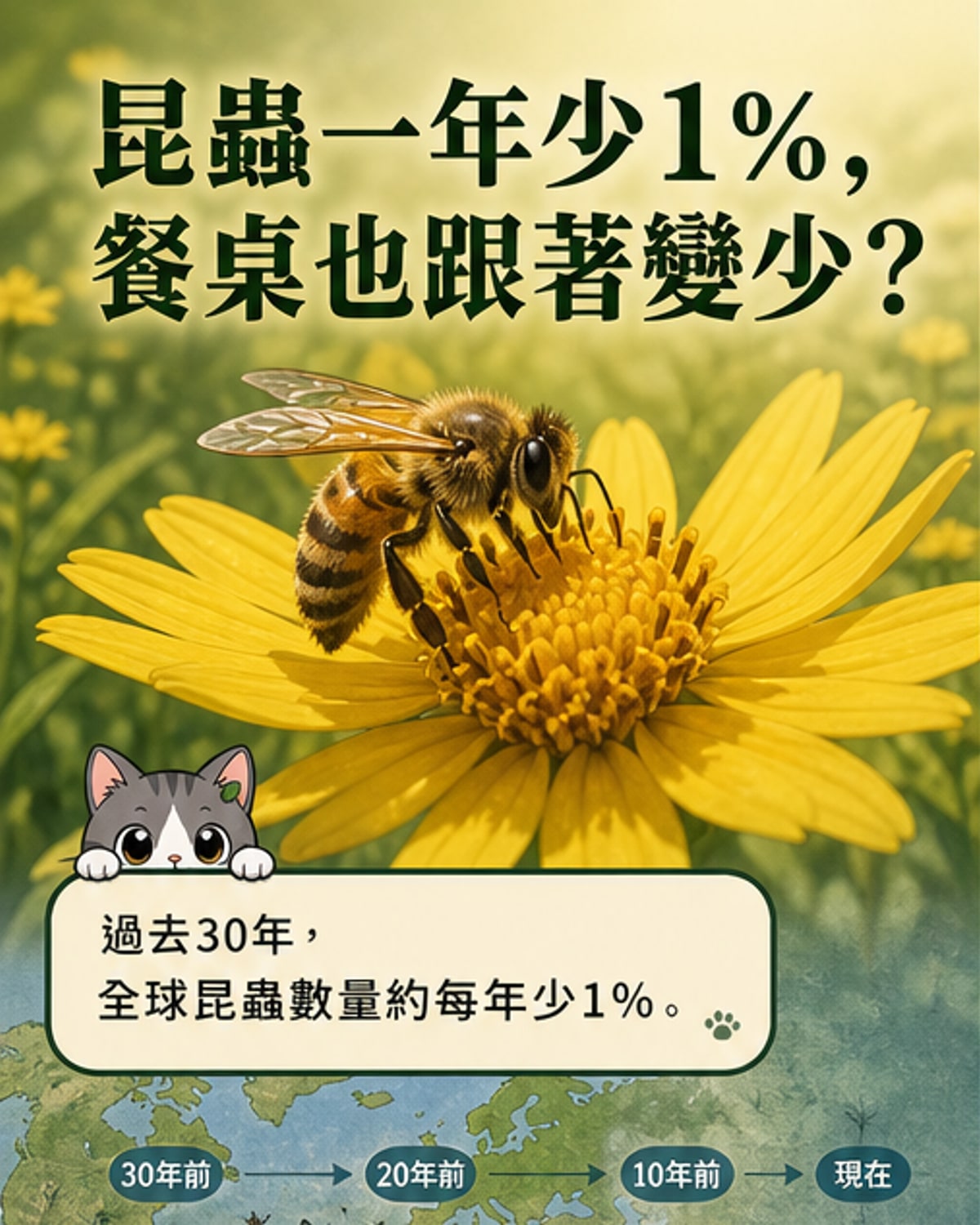 全球昆蟲正快速消失