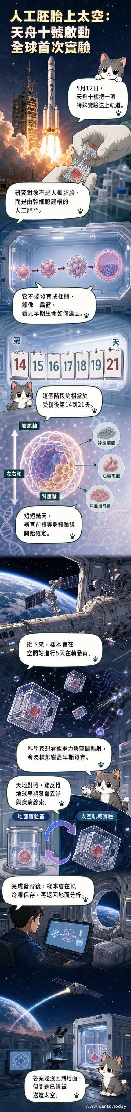 一組由幹細胞構成的類胚胎結構漂浮在太空實驗艙內,背景為地球軌道與天舟十號飛船,象徵人類首次在微重力環境下研究早期生命發育。