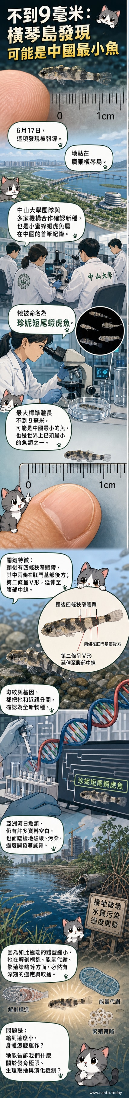 一尾體長不到9毫米的微型魚類,與一枚硬幣相比僅佔一小部分,背景為河口濕地生態示意圖。