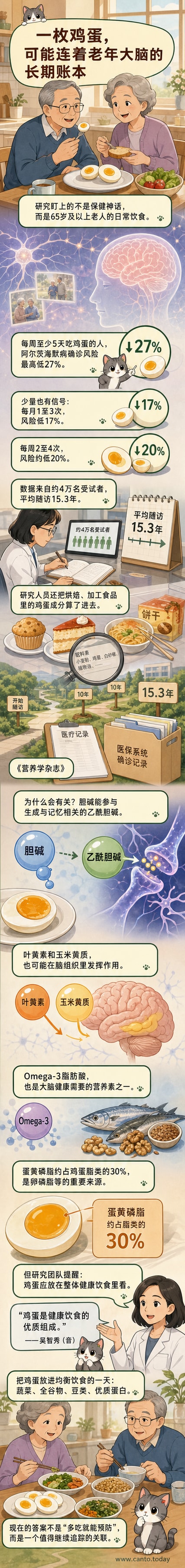 一个煮熟的鸡蛋切开,露出金黄色的蛋黄,背景是大脑轮廓与营养分子示意图,象征鸡蛋营养与脑健康的关联