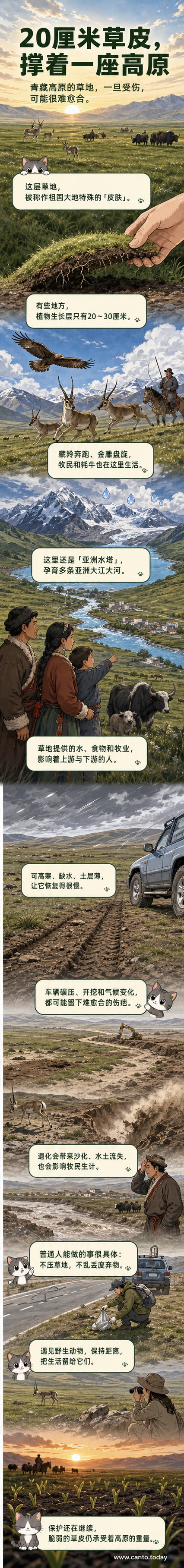 青藏高原广袤的高寒草地延展至天际,远处雪山连绵,近处草甸稀疏,标注显示草皮层仅20-30厘米厚,下方土壤裸露,体现其脆弱性。