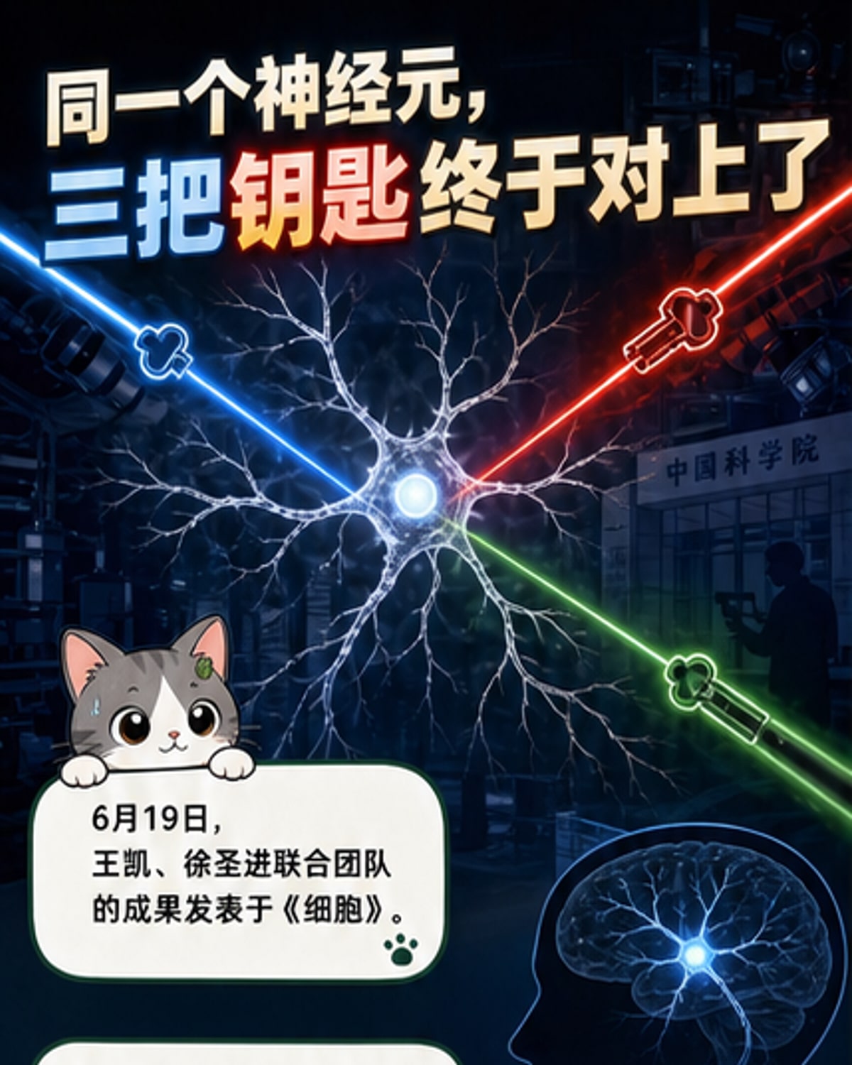 一个神经元的三维结构图，标注了功能响应、神经连接和基因分布三类信息，背景为大脑组织示意图