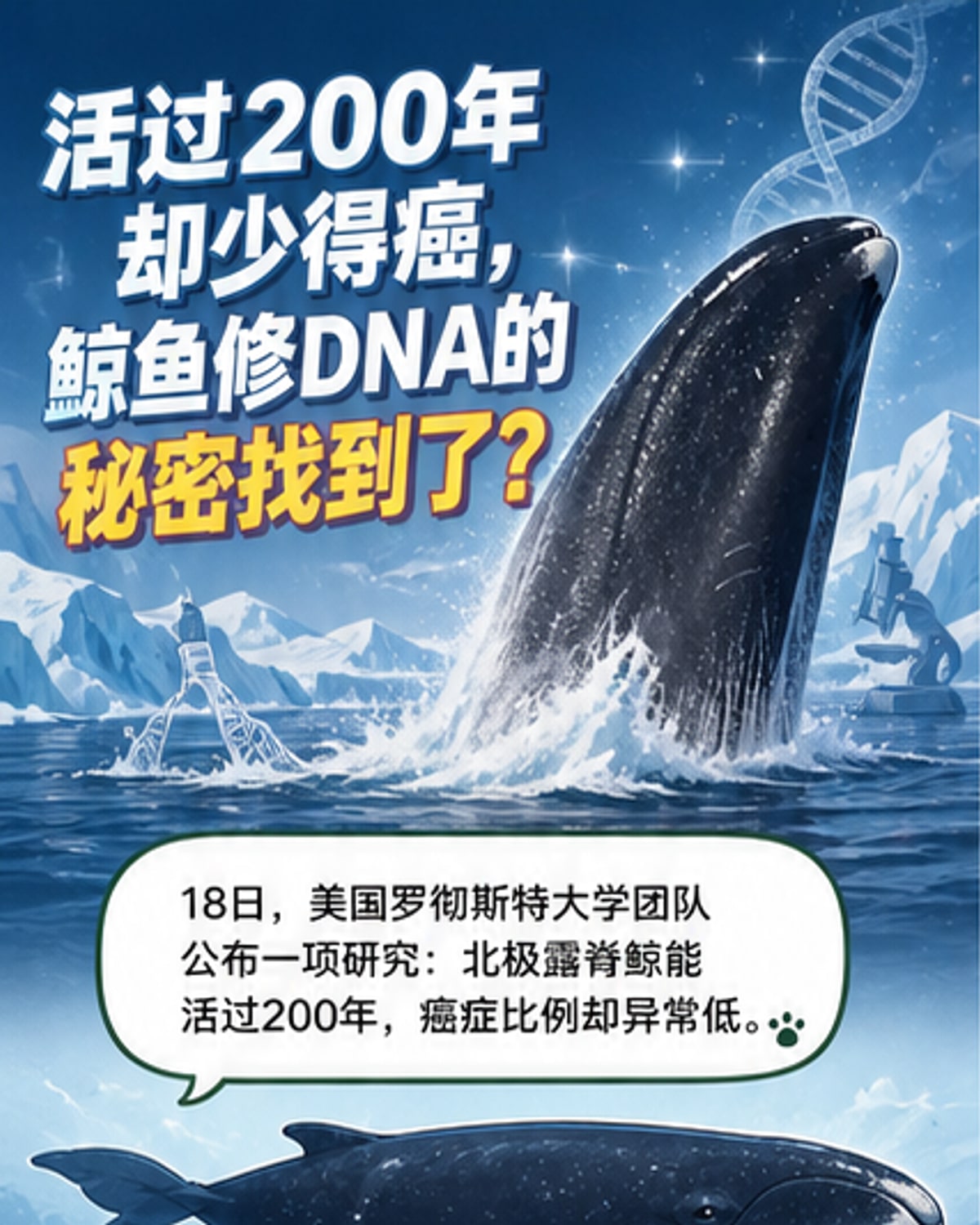 200年寿命不患癌？鲸鱼DNA修复关键揭晓