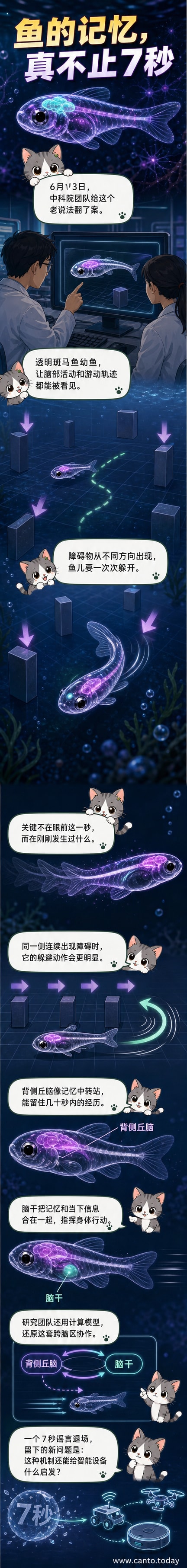 一幅科学风格插画：透明身体的斑马鱼在虚拟迷宫中游动，脑部高亮显示背侧丘脑和脑干区域，光线轨迹表示记忆信号传递。