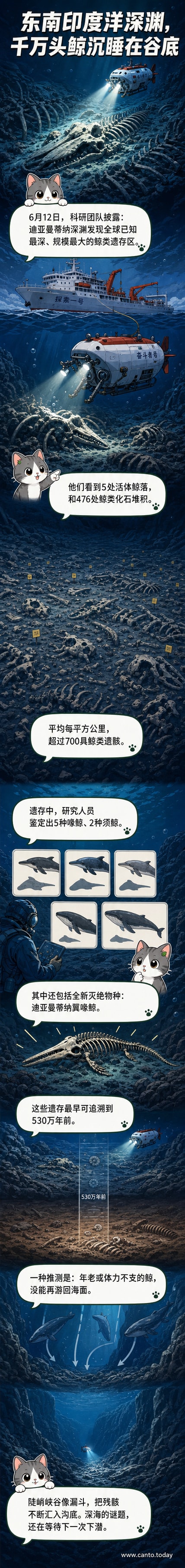 深海峡谷底部布满鲸骨,潜水器在幽蓝光线下缓缓靠近一处完整鲸落,周围散布着白色化石与深色沉积物,两侧岩壁陡峭如漏斗。