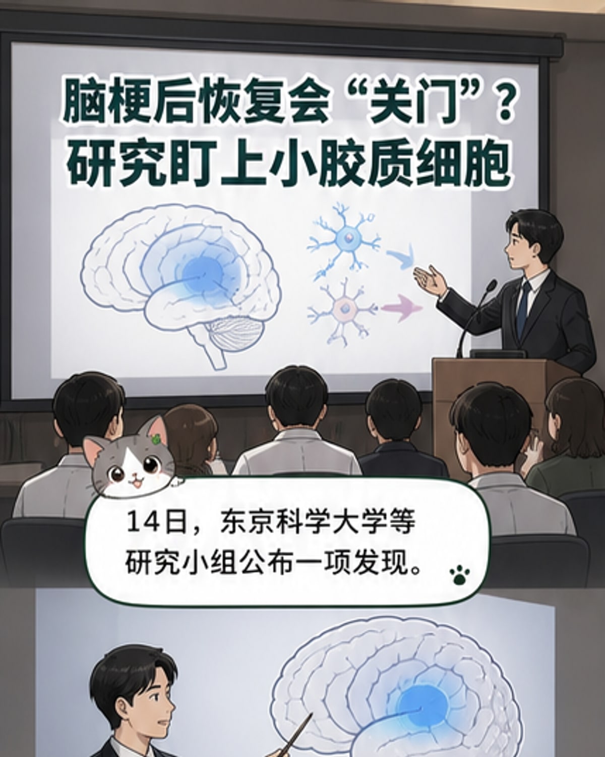 脑内免疫细胞助修复受损脑功能